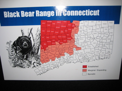 bear-range.jpg