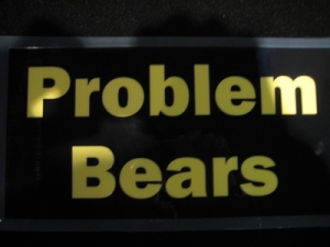 problem-bears.jpg