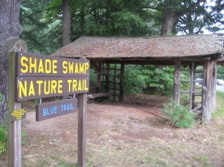shade-swamp